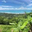  Grundstück zu verkaufen in Koh Samui, Surat Thani, Ang Thong