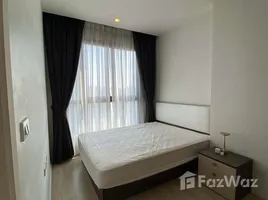 Appartement 1 chambre à louer à Quinn Condo Ratchada, Din Daeng, Din Daeng