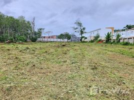  Land for sale in Thalang, Phuket, Pa Khlok, Thalang