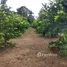  Terreno for sale in Brasil, Presidente Figueiredo, Amazonas, Brasil