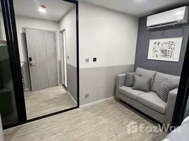 Studio Emper (Penthouse) for rent at Batu Ferringhi, Tanjong Tokong, Timur Laut Northeast Penang