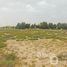  Land for sale at Dubailand Oasis, Dubai Land, Dubai