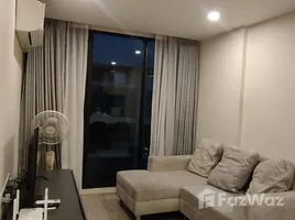 อพาร์ทเม้นท์ 1 ห้องนอน ให้เช่า ในโครงการ เซอริโอ้ สุขุมวิท 50, พระโขนง