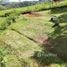  Terreno (Parcela) en venta en Costa Rica, Pérez Zeledón, San José, Costa Rica