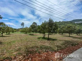  Land for sale in Maenam, Surat Thani, Maenam, Koh Samui, Surat Thani, Thailand