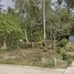  Land for sale in Phuket, Mai Khao, Thalang, Phuket