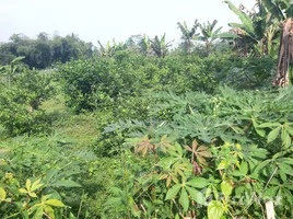  Grundstück zu verkaufen in Sukabumi, West Jawa, Cibadak, Sukabumi, West Jawa