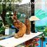 5 Habitación Casa en alquiler en Hoa Hai, Da Nang, Hoa Hai, Ngu Hanh Son, Da Nang
