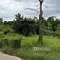 Land for sale in Kut Pong, Loei, Kut Pong, Mueang Loei, Loei