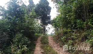 N/A Grundstück zu verkaufen in Ko Pha-Ngan, Koh Samui 