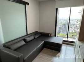 1 Bedroom Condo for rent at Rhythm Ekkamai, Khlong Tan Nuea, Watthana, Bangkok, Thailand