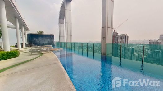 3D视图 of the Communal Pool at Life Ratchadapisek