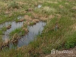  Grundstück zu verkaufen in Kaeng Khoi, Saraburi, Cham Phak Phaeo, Kaeng Khoi, Saraburi