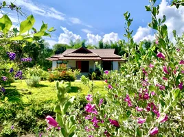  Land for sale in Kanchanaburi, Lin Thin, Thong Pha Phum, Kanchanaburi