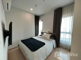 1 Bedroom Condo for rent at The Tree Sukhumvit 71-Ekamai, Suan Luang, Suan Luang, Bangkok, Thailand