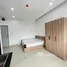 Studio Townhouse for rent in Son Tra Da Nang, Phuoc My, Son Tra, Da Nang