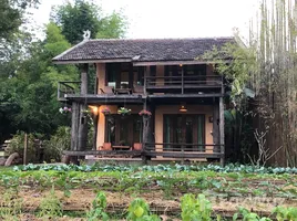 6 Bedroom Shophouse for rent in Mueang Chiang Rai, Chiang Rai, Huai Sak, Mueang Chiang Rai