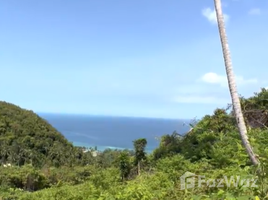  Grundstück zu verkaufen in Ko Pha-Ngan, Surat Thani, Ko Pha-Ngan, Ko Pha-Ngan
