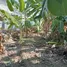 Land for sale in Phasi Charoen Bangkok, Bang Waek, Phasi Charoen