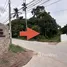  Land for sale in Maret, Surat Thani, Maret, Koh Samui, Surat Thani, Thailand