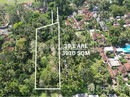  Земельный участок for sale in Индонезия, Ubud, Gianyar, Бали, Индонезия