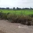  Land for sale in Nakhon Sawan, Bang Phra Luang, Mueang Nakhon Sawan, Nakhon Sawan