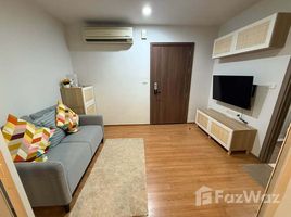 อพาร์ทเม้นท์ 1 ห้องนอน ให้เช่า ในโครงการ เดอะ เบส สุขุมวิท 77, พระโขนงเหนือ