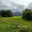  Земельный участок for sale in Doi Lan, Чианг Рай, Doi Lan