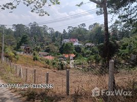  Grundstück zu verkaufen in Taunggye, Shan, Kalaw