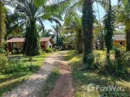 ขายที่ดิน ใน เหมาะ, พังงา, เหมาะ, กะปง, พังงา