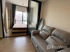 คอนโด 1 ห้องนอน ให้เช่า ในโครงการ เมทริส พระราม 9-รามคำแหง, หัวหมาก, บางกะปิ