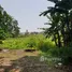 在印度尼西亚 / 印度尼西亞出售的 土地, Cengkareng, Jakarta Barat, 雅加达, 印度尼西亚 / 印度尼西亞