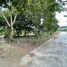  Land for sale in Surat Thani, Bo Phut, Koh Samui, Surat Thani