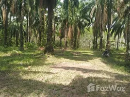  Land for sale in Krabi, Krabi Noi, Mueang Krabi, Krabi