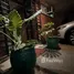 3 Habitación Apartamento en alquiler en Wack Wack Apartments, Mandaluyong City, Eastern District