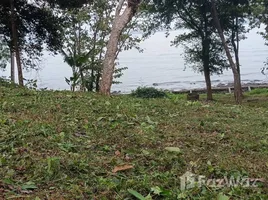 在塔朗, 普吉出售的 土地, 帕洛, 塔朗