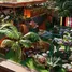 在Buddha Club House出售的1 卧室 住宅, Canggu, Badung, 里岛