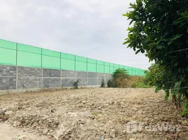 ขายที่ดิน ใน ดอนเมือง, กรุงเทพมหานคร, ดอนเมือง