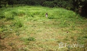 N/A Land for sale in Don Pao, Chiang Mai 