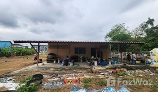2 Schlafzimmern Haus zu verkaufen in Chang Phueak, Chiang Mai 