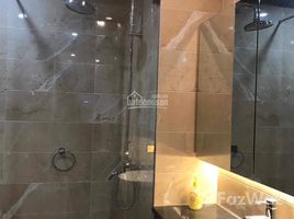 2 Bedrooms Condo for rent in Giang Vo, Hanoi Platinum Residences