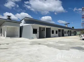 วิลล่า 1 ห้องนอน ให้เช่า ในทำเล ฉลอง, ภูเก็ต, ฉลอง, เมืองภูเก็ต, ภูเก็ต, ไทย