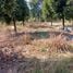  Land for sale in Rayong, Klaeng, Mueang Rayong, Rayong