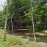  Land for sale in Choeng Thale, Thalang, Choeng Thale
