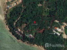 ขายที่ดิน ใน ตลิ่งงาม, สุราษฎร์ธานี, ตลิ่งงาม