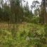  Land for sale in Canar, Solano, Deleg, Canar