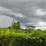 ขายที่ดิน ใน หนองอ้อ, อุดรธานี, หนองอ้อ, หนองวัวซอ, อุดรธานี, ไทย