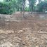  Land for sale in Chiang Mai, Nam Phrae, Hang Dong, Chiang Mai