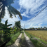  Land for sale in Bali, Kediri, Tabanan, Bali