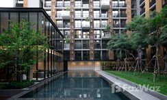 图片 2 of the Communal Pool at Noble Ambience Sukhumvit 42